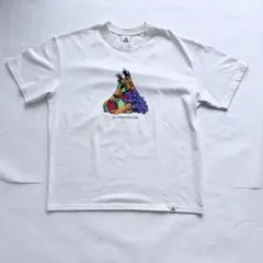 Z*Z様 NIKEACG ナイキ　Tシャツ ホワイト　XL