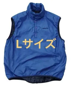 Lサイズ patagonia マイクロパフベスト 刺繍ロゴ パフボール