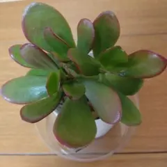 blue-sky様 リクエスト 2点 まとめ商品