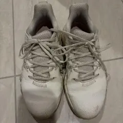 Item thumbnail for item 1b9e1722-1734-4283-b4c1-f40ea187c275