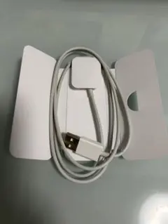 Apple Watch 磁気充電ケーブル USB-A 本体