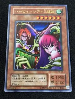 ヒナヒメ様 リクエスト 3点 まとめ商品