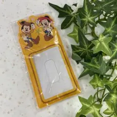 新品　チケットホルダー　ミッキーミニー　トイストーリー　非売品　ディズニーランド