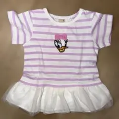 プティマイン デイジー　ボーダー　薄紫　100