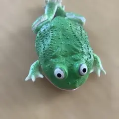 Item thumbnail for item 0eb9620b-842e-455b-92a5-d74573f62253