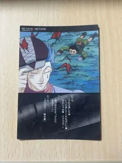 2026年最新】hunter×hunter カードダスマスターズ ヒソカの人気