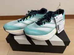 Item thumbnail for item e33ea091-5dd3-439a-8c39-dda15a3ae566