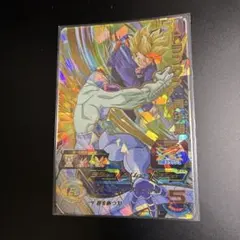 UGM5-023 トランクス:青年期