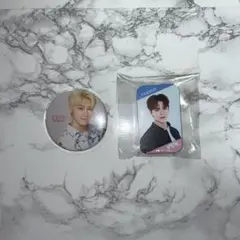 SEVENTEEN 缶バッチ　缶ケース　ディノ　バーノン