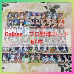 【Calbee】【引退品】カルビープロ野球チップカード2024