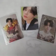 ヨンジュン トレカ ３枚セット