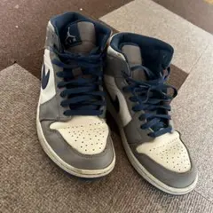 Nike Air Jordan trueblue