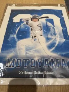 埼玉西武ライオンズ　1000円くじ　ファブリックポスター　元山飛優