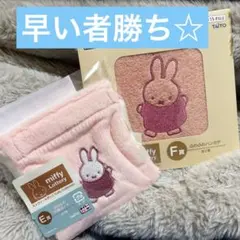 ミッフィー タイトーくじ EF賞セット☆