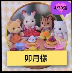 卯月様専用ページです