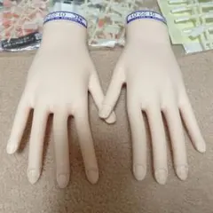 JNEC 認定モデルハンド　付属品、説明書付き