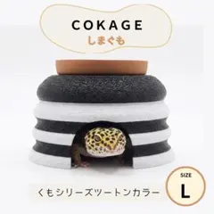 COKAGE【爬虫類ウェットシェルター しまぐも L】黒×白 アダルトレオパのサムネイル