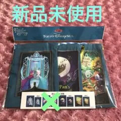 アナと雪の女王 巾着 ディズニー きんちゃく ファンタジースプリングス