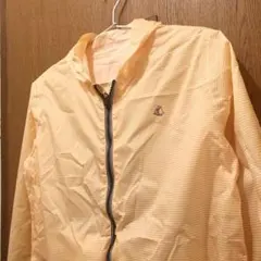 Item thumbnail for item bccf6768-2189-468b-bfa7-81f9ff2073dd