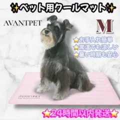 Item thumbnail for item e40dcb4d-8820-483b-bcd3-ff059ddcbacc