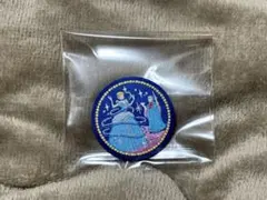 Disney Characters 刺繍缶バッジ〜シンデレラ〜