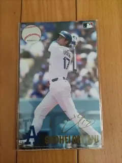 大谷翔平 大型ポストカードセット5枚入り