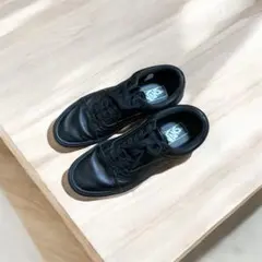 Item thumbnail for item 39fdc861-a058-4914-8909-fedca759b300