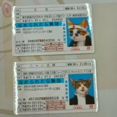 なめ猫免許証　又吉　ニャン太郎のサムネイル
