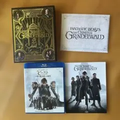 【限定品】ファンタスティック・ビーストと黒い魔法使いの誕生 エクステンデッド版