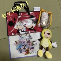 Disney ディズニーストア ハッピーバッグ 4点セット