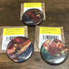 鬼滅の刃　無限城編　冨岡義勇　ものがたる背中　コレクション缶バッジ　３つセット