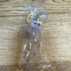 TRUZ めじるしアクセサリー ガチャ ヨチ よし TREASURE