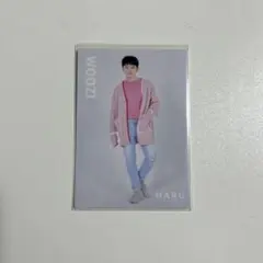 SEVENTEEN ハルコン トレカ ウジ 028