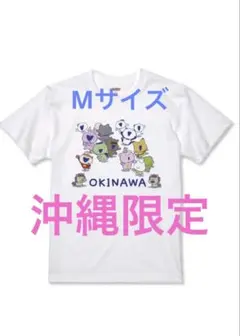 アニメージュとジブリ展 魔女の宅急便 ジジ Tシャツ 半袖 Mサイズ
