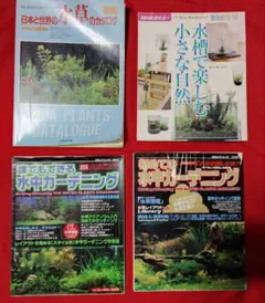 Item thumbnail for item f1310bdb-2b9b-465c-a57a-ca899ca522af