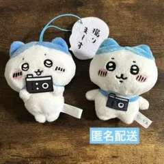 ちいかわ ぬいぐるみ ハチワレ 2種セット