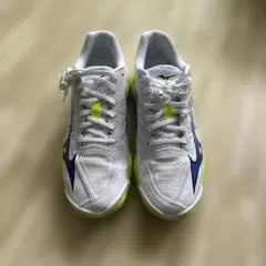 MIZUNO WAVE EXCEED 6 SW オムニクレー テニスシューズ - メルカリ