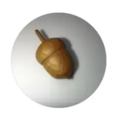 専用
