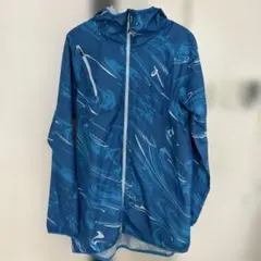 Item thumbnail for item c1b2f9d7-c707-4325-b397-41f9780f773b