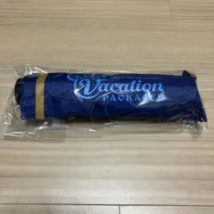 バケパ限定　折りたたみ傘　ディズニー　傘　バケーションパッケージのサムネイル