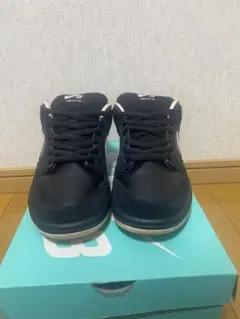 Nike SB Dunk Low PRO Black/Washed Coral