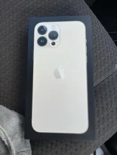 Apple iPhone 13 Pro maxゴールド 本体 + 充電ケーブル