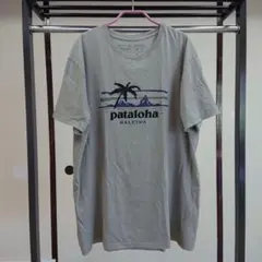 patagonia / 男女 ハワイ限定Tシャツのサムネイル