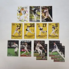 プロ野球チップス　2025　第1弾　福岡ソフトバンクホークス　14枚セット