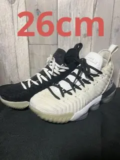 NIKE LEBRON 16 EQUALITY レブロン16 26cm