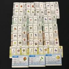 2025年最新】ポケモンバトルカードe+ ルビーの人気アイテム