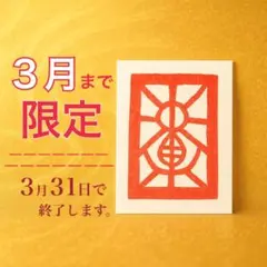 レディ様 リクエスト 2点 まとめ商品