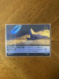 プライドランド PSA エンチャンテッド ディズニー ロルカナ 2026年最新】プライドランド エンチャンテッドの人気アイテム - メルカリ