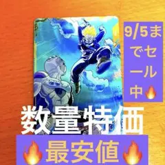【激レア、希少、美品】聖闘士星矢カード　キグナスクロス　エラーカード 激レア、希少、美品】聖闘士星矢カード キグナスクロス エラーカード