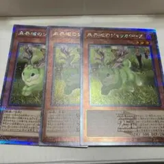 未界域のジャッカロープ　25th 　遊戯王　3枚